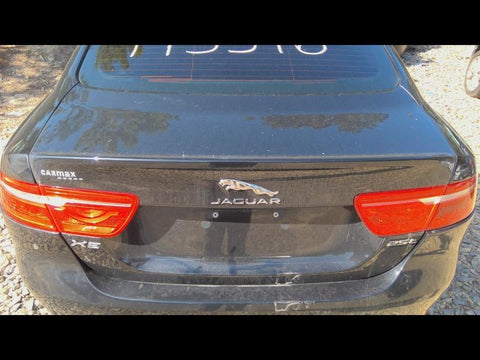 Trunk/Hatch/Tailgate Without Spoiler Fits 17-18 XE 470178