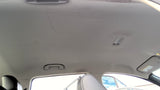 LEAF      2013 Headliner 4809241