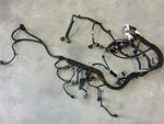 COUNTRYMA 2011 Engine Wire Harness 326204