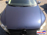 Hood Fits 13-15 PASSAT 4882571