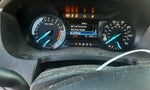 EXPLORER  2018 Fuel Filler Door 461362
