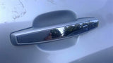 Door Handle Exterior Painted Chrome Insert Front Fits 1319 ENCORE 3415400