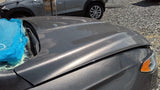 Hood Fits 13-20 FUSION 4858661
