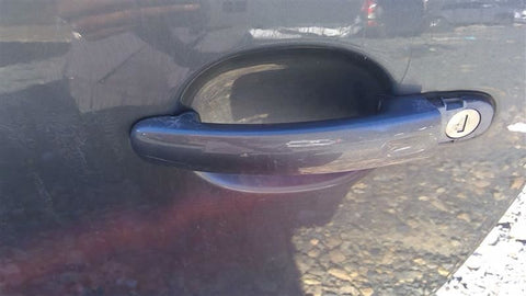 Driver Door Handle Exterior Assembly Paint To Match Fits 1219 BEETLE 3565840