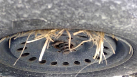 Wheel Classic Style Limited 17x71/2 Fits 0619 SIERRA 1500 PICKUP 3497710