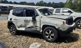 RENEGADE  2019 Front Door Trim Panel 4864594