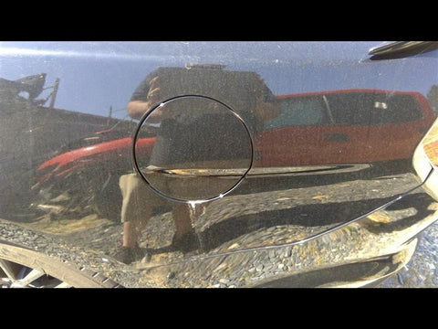 MUSTANG   2016 Fuel Filler Door 3368130
