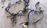 EQUUS     2015 Engine Wire Harness 4767251