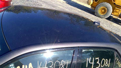 Roof Without Sunroof Fits 15-20 300 3584980