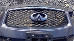 Grille With Front View Camera Fits 16-19 INFINITI QX60 462980