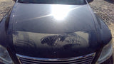 Hood Fits 0712 LEXUS LS460 3388550