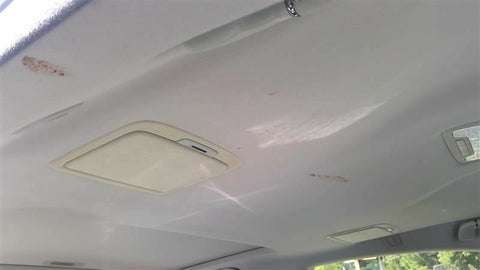 LS460     2011 Headliner 3438120