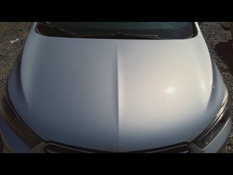 Hood Fits 1722 ENCORE 4761580