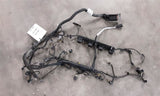 PASSAT    2018 Engine Wire Harness 4663780