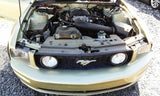 MUSTANG   2006 Headliner 3505456