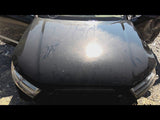 Hood Fits 1720 AUDI Q7 4685310