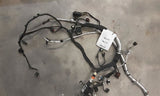 EXPEDITON 2018 Engine Wire Harness 4603882