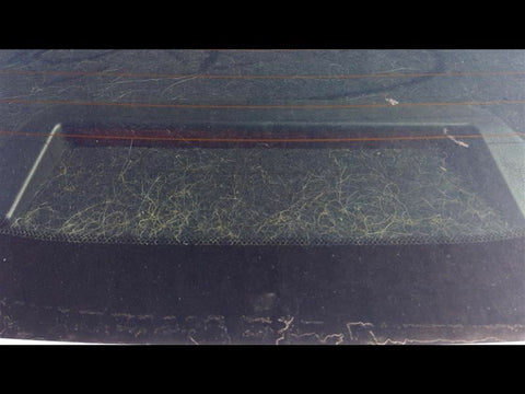 200       2015 THIRD BRAKE LIGHT LAMP 3311220