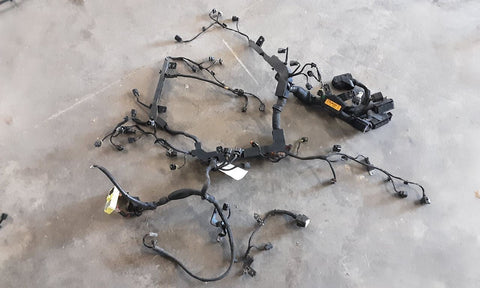EQUUS     2015 Engine Wire Harness 4767250