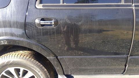 Passenger Rear Side Door Electric Side Cladding Fits 0717 EXPEDITION 3588720