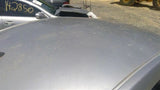 Roof Hatchback Without Sunroof Fits 9810 BEETLE 3391990