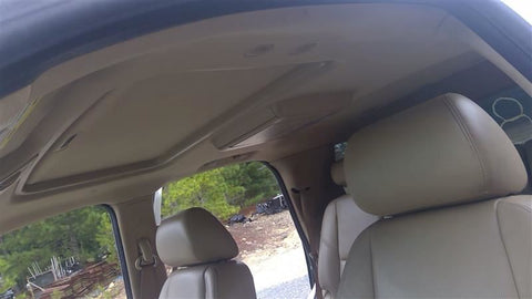 ESCALADE  2010 Headliner 4678160