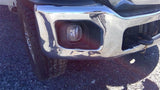 Passenger Corner/Park Light Fogdriving Fits 1116 FORD F250SD PICKUP 3589550