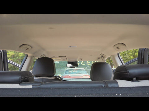 ENCORE    2019 Headliner 4761180