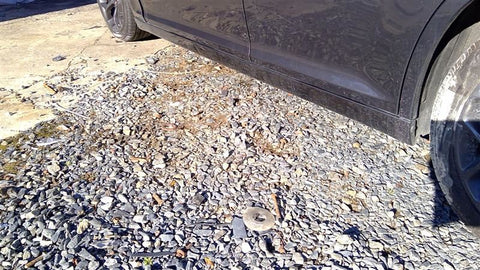 300       2019 Rocker Panel Moulding 3584920