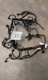 PACEMAN   2014 Engine Wire Harness 3549790