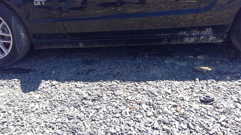 MUSTANG   2005 Rocker Panel Moulding 4643950