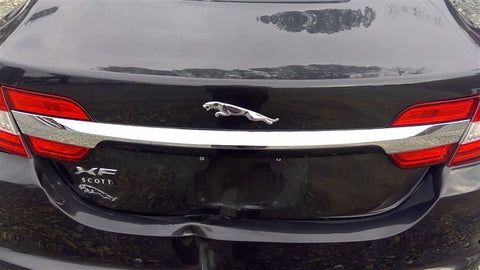 Tail Finish Panel Chrome With Rear View Camera Fits 12-15 XF 3580520