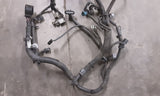 OUTBAKLEG 2017 Engine Wire Harness 4705741