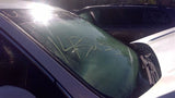 Windshield Glass Without Rain Sensor Fits 1518 EDGE 4635301