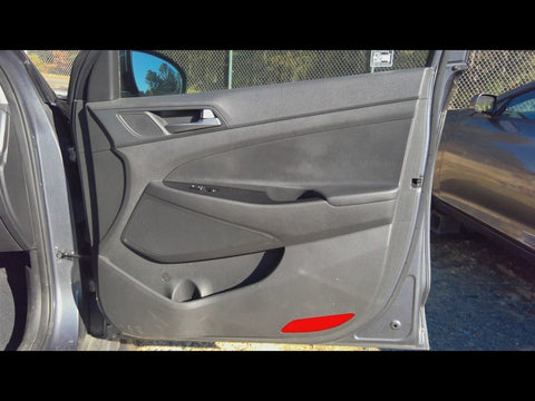 TUCSON    2017 Front Door Trim Panel 4791530