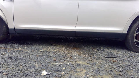 TAURUS    2016 Rocker Panel Moulding 4649600