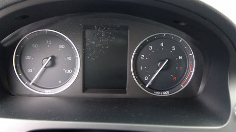 Speedometer Cluster Trip MPH Fits 1315 LR2 4587490