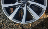 Wheel 18x8 Aluminum 10 Spoke Fits 19 MKC 4763231