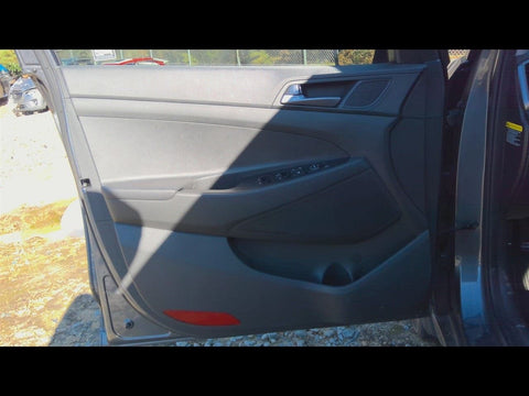 TUCSON    2017 Front Door Trim Panel 4791550