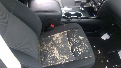 Passenger Front Seat Bucket Bag Manual Cloth Fits 1720 PATHFINDER 4623000