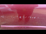 Driver Left Rear Side Door Fits 9903 LEXUS RX300 3349141