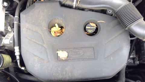 LR2       2014 Engine Cover 4587670
