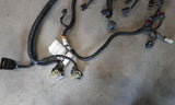 FUSION    2017 Engine Wire Harness 4683681