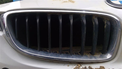 Passenger Grille Upper Bumper Mounted Fits 1720 BMW 430i 3621630