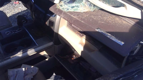 RAM1500   2013 Glove Box 3601160