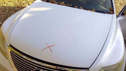 Hood Fits 0712 LEXUS LS460 3564600