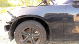 Driver Left Fender Without Fender Flare Fits 15-23 CHARGER 4859670