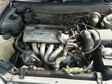 Engine ECM Electronic Control Module 4 Speed Federal Fits 98 PRIZM 31035511