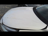 Hood Fits 1519 LEGACY 4705611