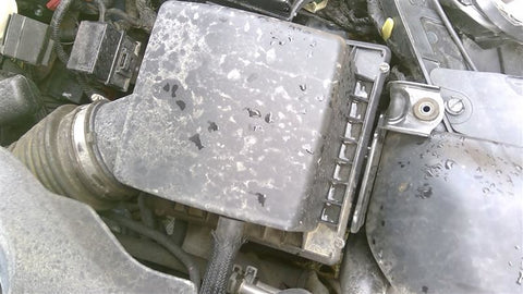 Air Cleaner 3.6L Fits 1114 200 4669120